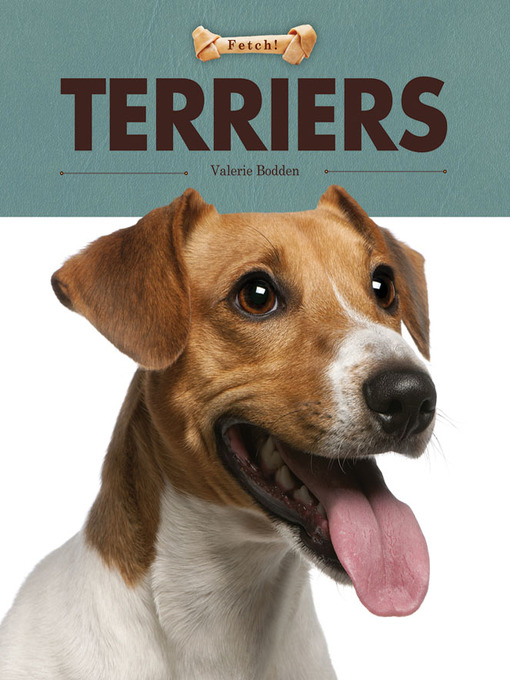 Title details for Terriers by Valerie Bodden - Available